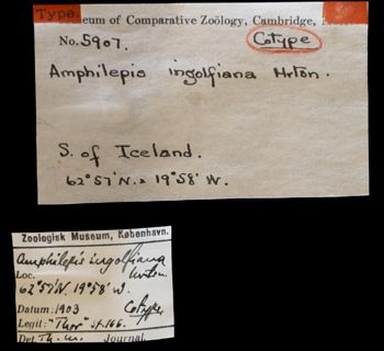 Media type: image;   Invertebrate Zoology OPH-5907 Description: Handwritten labels for this specimen included in the specimen tray.;  Aspect: labels